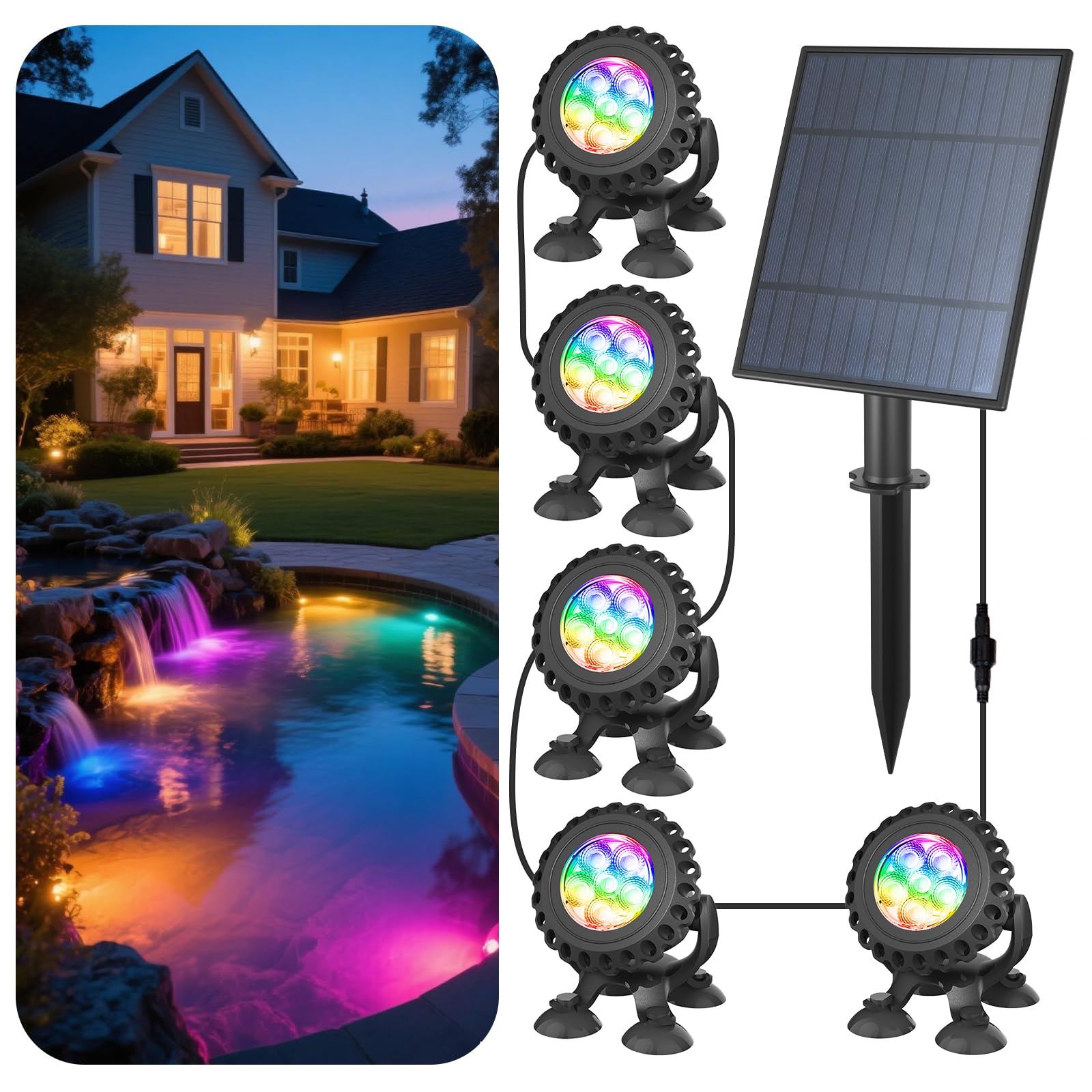 Pond Lights
